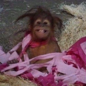 Meet your Posher, Maranda